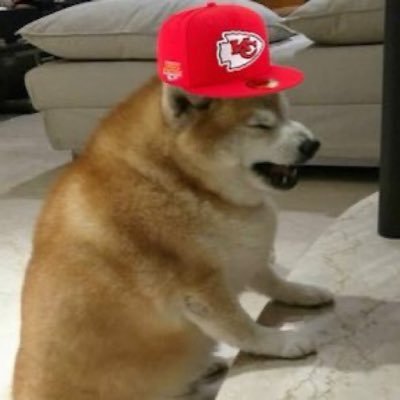 I’m a Bucks fan and Chiefs fan so I mostly tweet about sports 🤷🏽♂️#ChiefsKingdom (0-1) #FearTheDeer (48-34)