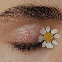 عروسک شکستنی (@_mary9573_) 's Twitter Profile