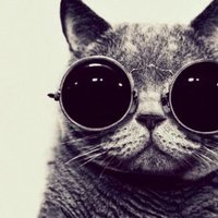 SunChaser62 (@sunchaser62) 's Twitter Profile
