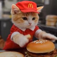 Vega (@hr_vegadayoo) Twitter profile photo