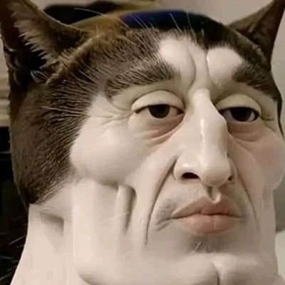 VINCENT77954's profile picture. 