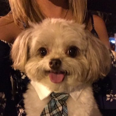 pornsineeenp's profile picture. 