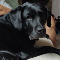 AngiPa (@angipa18442) 's Twitter Profile