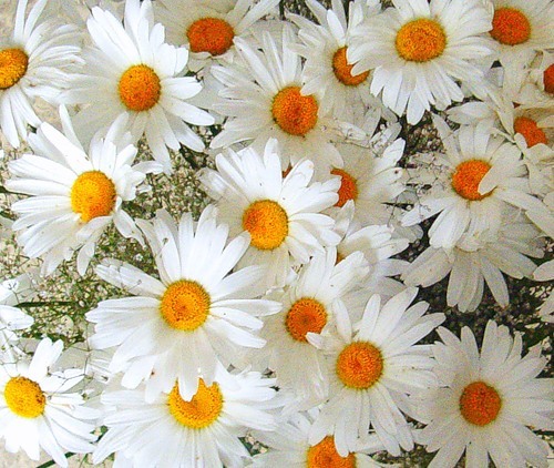 matrix_soul's profile picture. Психотерапевтический центр Matrix http://t.co/Uq1cwECdIM
«Исцели душу, и тело твое обретет силу, а мир вокруг засияет новыми красками»