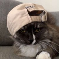 BNT Tobix (@tobixfnbr) 's Twitter Profile Photo BNT Tobix (@tobixfnbr) 's Twitter Profile Photo