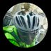 Chumponabike (@chumponabike) Twitter profile photo Chumponabike (@chumponabike) Twitter profile photo