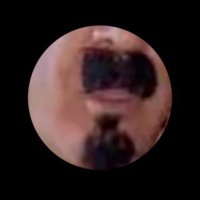 لايح ابو غازي الشمري (@alshmry19038) 's Twitter Profile
