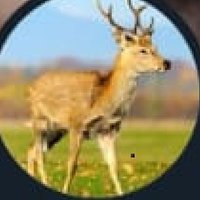 PATRIOTIC (@fredjnx_) 's Twitter Profile Photo PATRIOTIC (@fredjnx_) 's Twitter Profile Photo