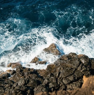 Nimeesh0007's profile picture. #Gym