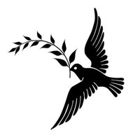 The paradox of freedom (@sandrag926) 's Twitter Profile