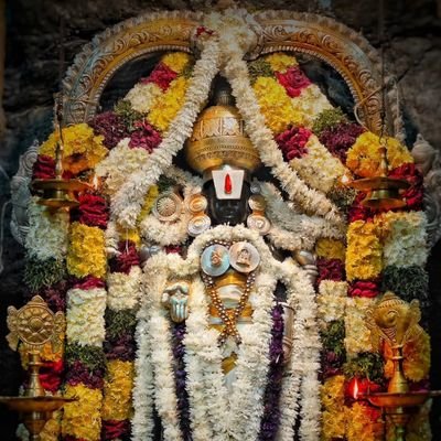 balijepalli_rao's profile picture. I talk openly about everything. Live with it. 🙂