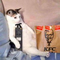 sir digby chicken caesar (@reallynotsol) 's Twitter Profile