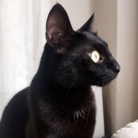 Off the record (@orecord63400) 's Twitter Profile