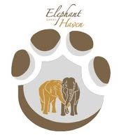 Elephant Haven (@elephanthaven) 's Twitter Profile Photo Elephant Haven (@elephanthaven) 's Twitter Profile Photo