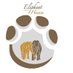 Elephant Haven (@elephanthaven) Twitter profile photo Elephant Haven (@elephanthaven) Twitter profile photo