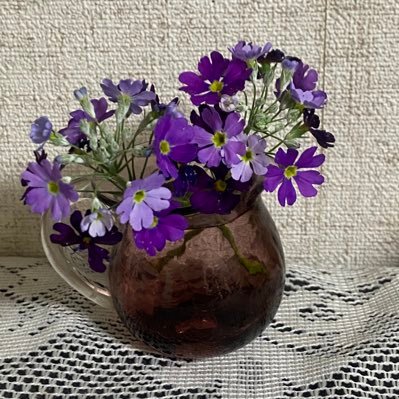 violetblue1961's profile picture. 地球の平和を願っています。      無言フォローお許し下さい🙇‍♀️