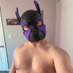 Pup Aster 💜 (@bourbonballs19) Twitter profile photo Pup Aster 💜 (@bourbonballs19) Twitter profile photo