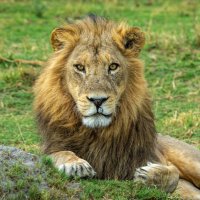Ben🇨🇭🇧🇼🇿🇦🇳🇦 (@benhyperion) 's Twitter Profile