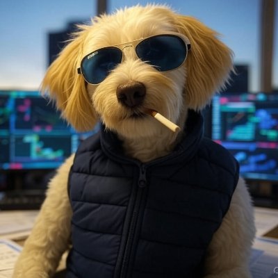 Personal Trading Journal | Geopolitics | Futures | FX | Commodities | Options