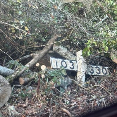 frasermoffatt8's profile picture. 