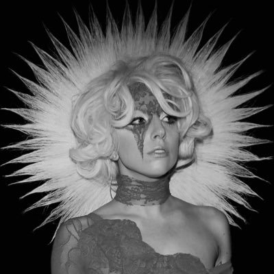 stefannyJoannee's profile picture. Um homossexual que tenta ser do mau