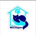 Refugio MICHIgan 🐱 (@claudethtp) Twitter profile photo Refugio MICHIgan 🐱 (@claudethtp) Twitter profile photo