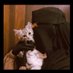 امرأه في الريف الدنماركي🍉 (@roqaiazaki) Twitter profile photo امرأه في الريف الدنماركي🍉 (@roqaiazaki) Twitter profile photo