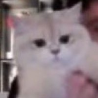 má ria ⁵ ³³ (@marintml) 's Twitter Profile