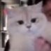má ria ⁵ ³³ (@marintml) Twitter profile photo má ria ⁵ ³³ (@marintml) Twitter profile photo