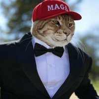 Spade Caller (@chrisd91868733) 's Twitter Profile
