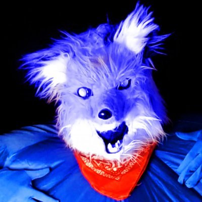 RealFattytheFox's profile picture. Hi I'm Fatty the Fox, I am a furry and sometimes i become big and round by inflation/Blueberry and i love it. I'm also a fox 🫐🦊Age:27 single🏳️‍🌈