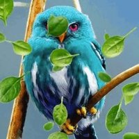 ╰☆☆ ｎ𝓔𝓡๏ ☆☆╮ (@nero_vermx) 's Twitter Profile Photo