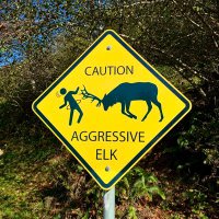 PNW ADVENTURES (@pnw_adventuring) 's Twitter Profile