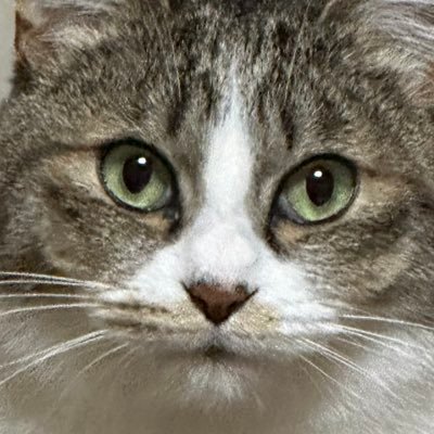 masa_dam1101's profile picture. 罪プラが増える増える