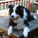 Scott Dillon - @swdillon - Twitter