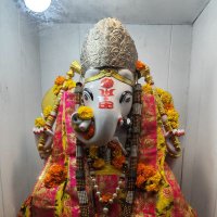 Aviator Singh (@aviators1645) 's Twitter Profile