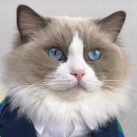 B.M.S.com (📻) (@l2fdz12pf8mpao7) 's Twitter Profile