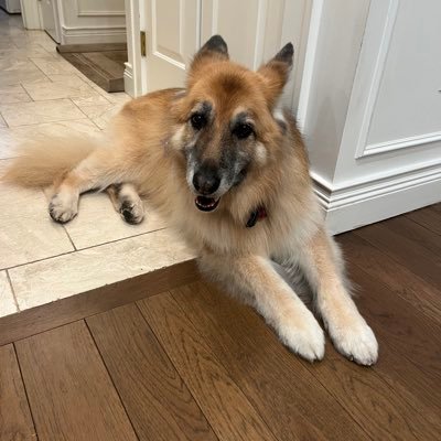 AndrewMGoBlue's profile picture. Running, GSD Dog Lover, Industrial Statistician, Watching Global Debt Bubble, Independent Thinker, Fiscal Conserv., Social Liberal #Gold, #Silver, #SamHarris