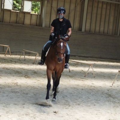 washida_washio's profile picture. 一口馬主で馬主気分を堪能中！ ふと思うのが引退馬はどこへ行くのだろうか？調べてみたら衝撃的事実。生きてセカンドキャリアを過ごせる引退馬が一頭でも増えるよう馬糞堆肥から野菜を作って販売し引退馬の維持費へ戻す循環できるように色々挑戦してます