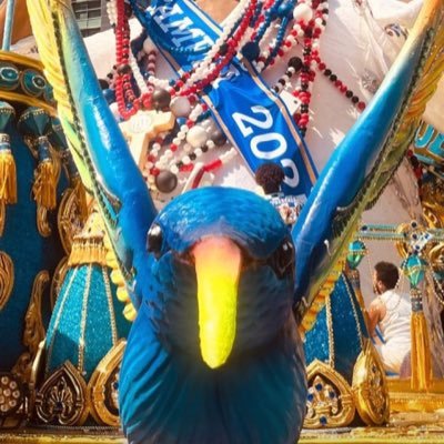 sou na vida um mendigo da folia, eu sou rei