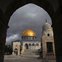 صالح الضبياني (@mojlemobil8304) 's Twitter Profile
