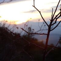 Jose Andrés Hernán (@joseanhd) 's Twitter Profile