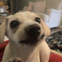 Josh (@dsleep97) 's Twitter Profile Photo Josh (@dsleep97) 's Twitter Profile Photo
