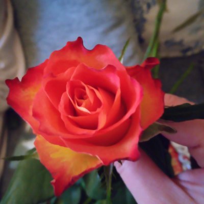 tenby620244's profile picture. slavi ukraine