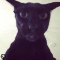 Orpheu (@orpheuart) 's Twitter Profile