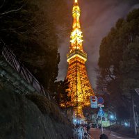 幸也 渡邊 (@dkx5iqwg7532113) 's Twitter Profile Photo