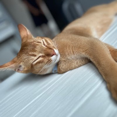 KinZj9910's profile picture. 