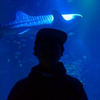 ind_frisさんのプロフィール画像