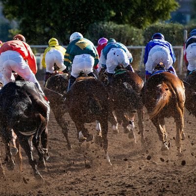 angelucci2503's profile picture. Pronosticador de carreras se caballos