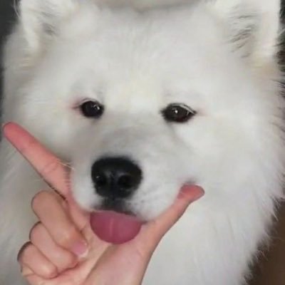 never fall in love again until I found @aoomkap @xobammm - pls be kind to my babe